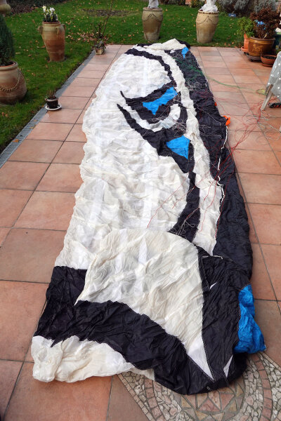 Flysurfer Speed 4 Lotus 18m² inkl. Bar und Extensionlines *gebraucht*
