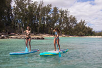 FANATIC SUP FAS Paddle Pure Adjustable 2-teilig