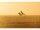 ION Slash Core Helmet SS24 51-56/S-M 608 mint
