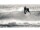 DUOTONE Winder + screws Click Bar (SS17-onw) SS22 dark grey