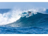 FANATIC ProWave LTD SS23