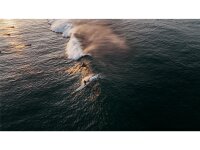 ION Amaze Shorty 2.5 SS Back Zip SS23