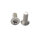 DUOTONE Spirit Carbon Back Wing Screw Set 216 (SS22-onw)(2pcs) SS24 M6x16