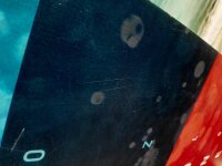 DUOTONE Gonzales 2021 142cm *Testboard Kite*