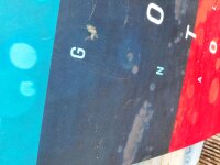 DUOTONE Gonzales 2021 142cm *Testboard Kite*