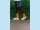 DUOTONE Socks DT_Originals unisex FW25