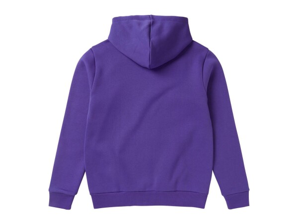 MYSTIC Icon Hood Sweat Purple XL AUSSTELLER