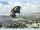 DUOTONE Back Wing Stabilizer PX SS25
