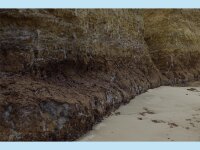 ION Element 4/3 Overknee LS Back Zip men SS25