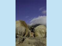 ION Amaze Amp Shorty 2.0 LS Back Zip women SS25