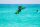 Indiana Windsurf Foil 920 H-AR Complete