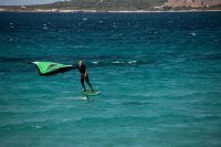 Indiana Foil Coil Waist Leash 8