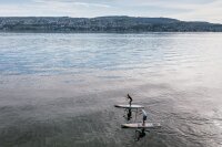 Indiana 126 Touring Carbon/Wood 29