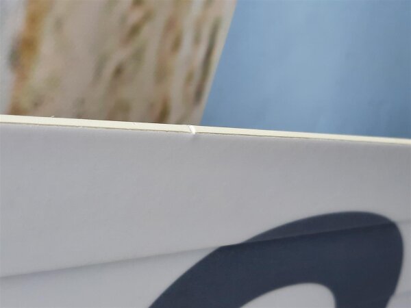GOODBOARDS Amnesia 2024 140/42.6 *Testboard Kite*