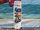 GOODBOARDS Amnesia 2024 140/42.6 *Testboard Kite*