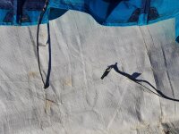 DUOTONE Evo SS23 07m² C05:blue *Testkite*