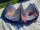 DUOTONE Evo SS23 07m² C05:blue *Testkite*