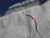 DUOTONE Evo SLS SS25 C11:pink/blue 09.0*Testkite*