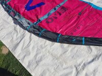 DUOTONE Evo SLS SS25 C11:pink/blue 12.0*Testkite*
