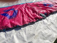 DUOTONE Evo SLS SS25 C11:pink/blue 12.0*Testkite*